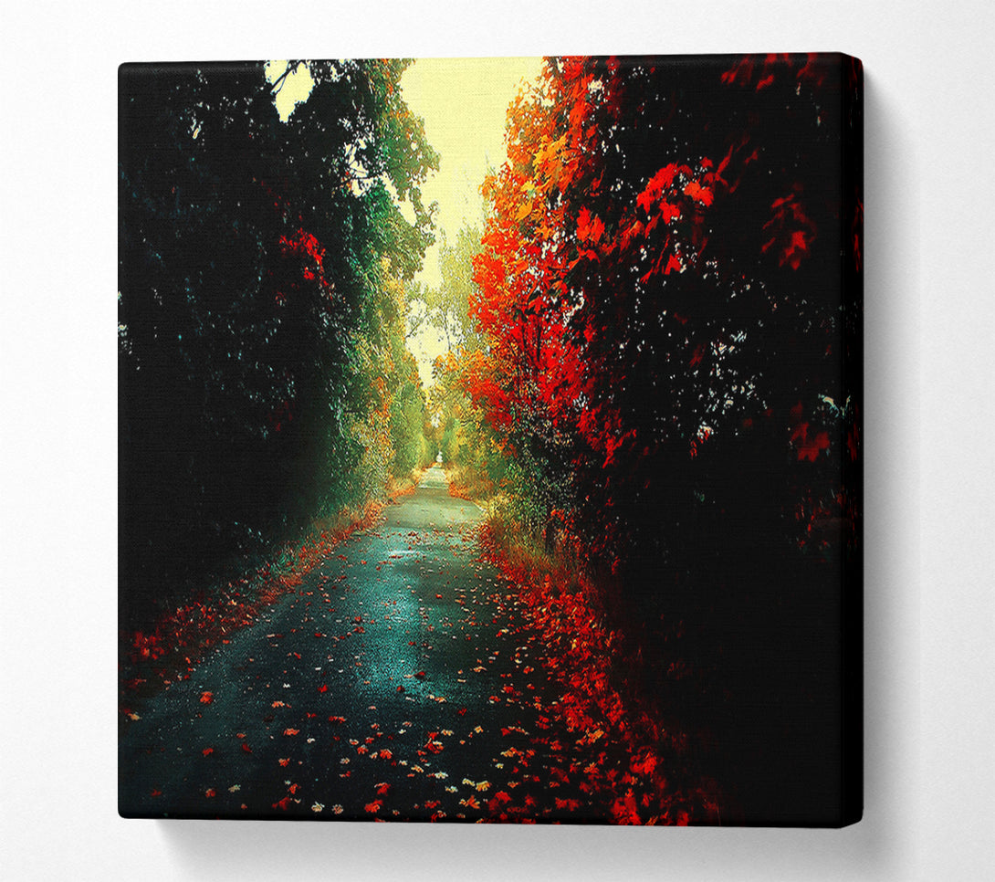 A Canvas Print of Red Trees On The Autumn path Canvas Art