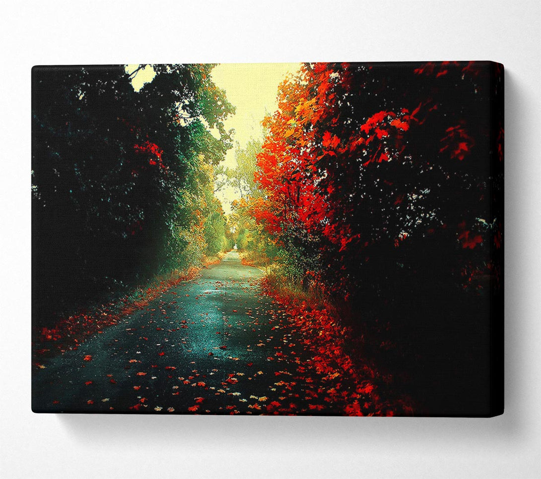  A Canvas Print of Red Trees On The Autumn path Canvas Art