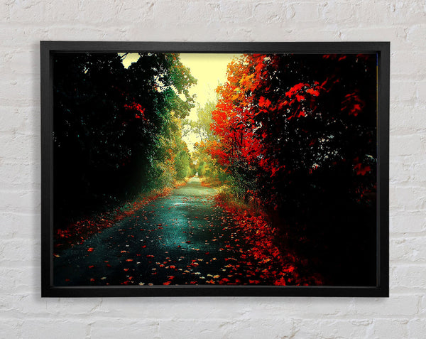 Rote Bäume auf dem Herbstpfad