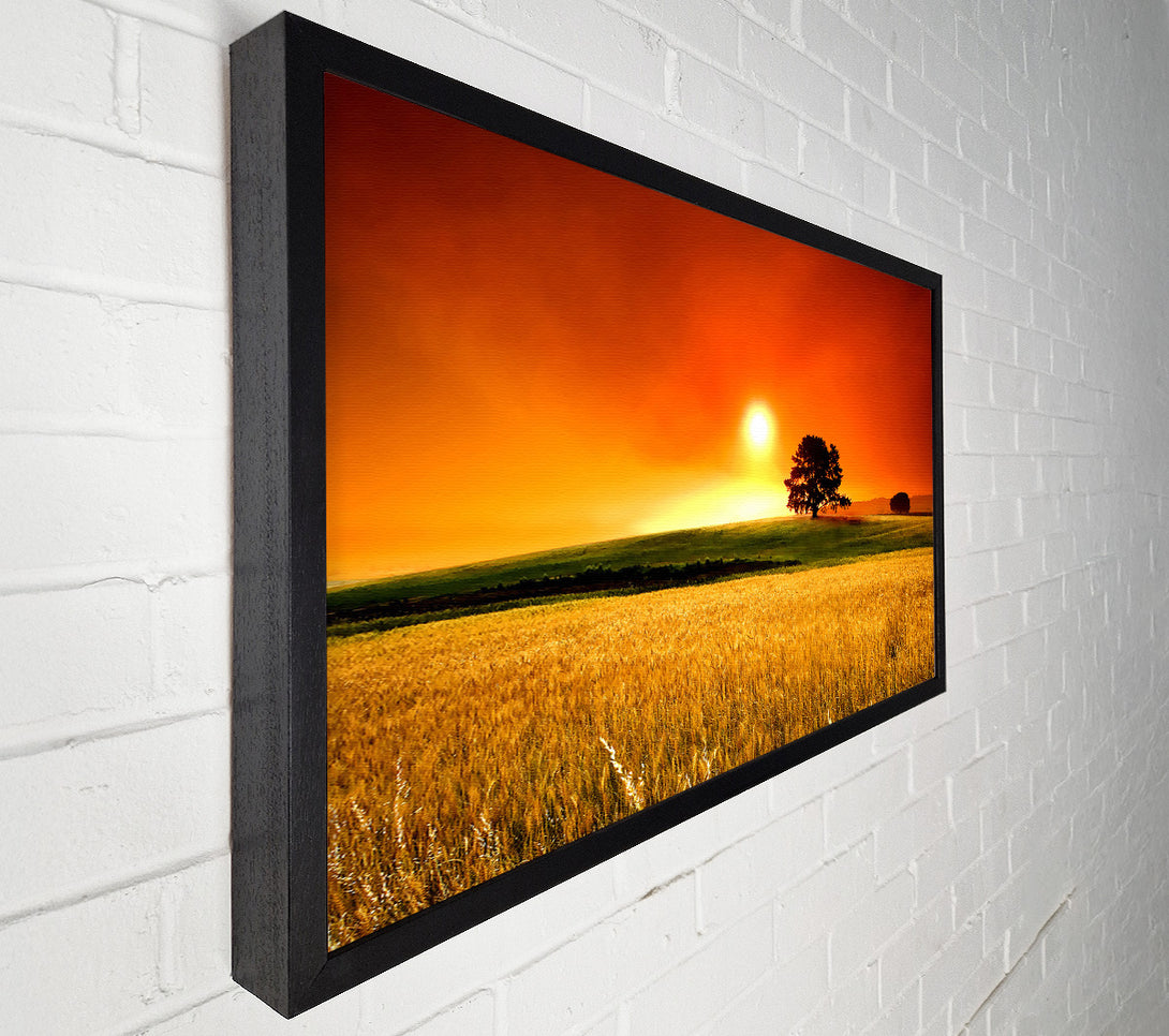  A Canvas Print of Summer Sunset Canvas Wall Art