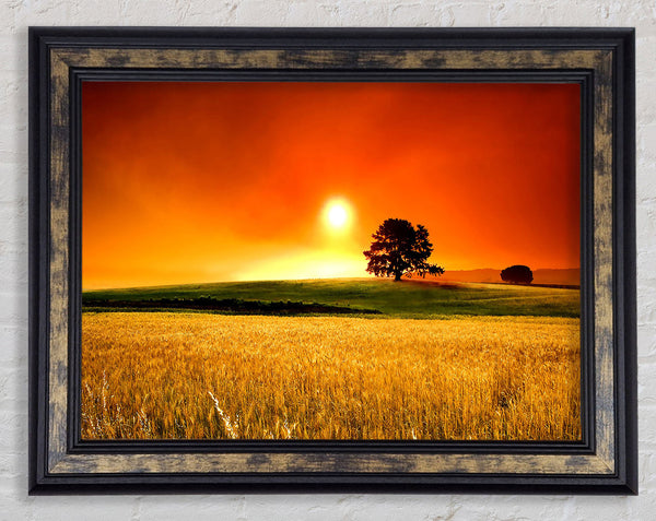 Summer Sunset Framed Print