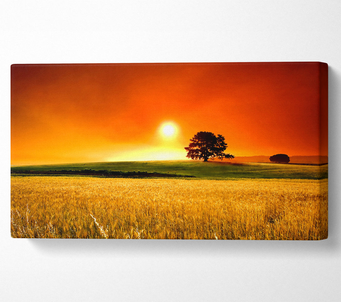  A Canvas Print of Summer Sunset Canvas Wall Art