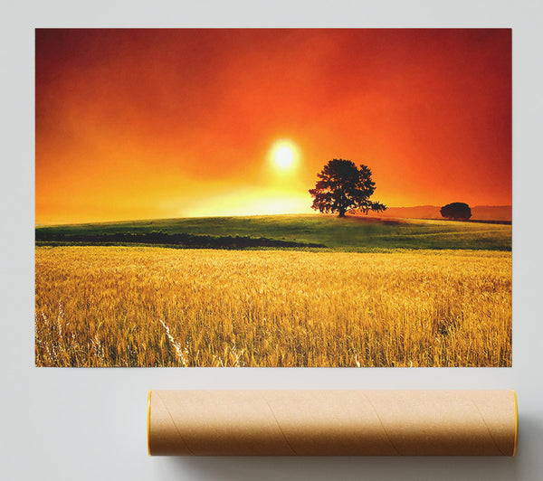 Summer Sunset Giclee Print