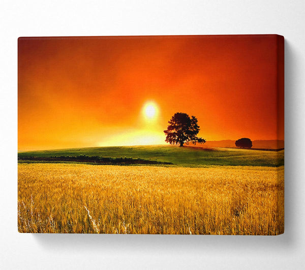  A Canvas Print of Summer Sunset Canvas Wall Art