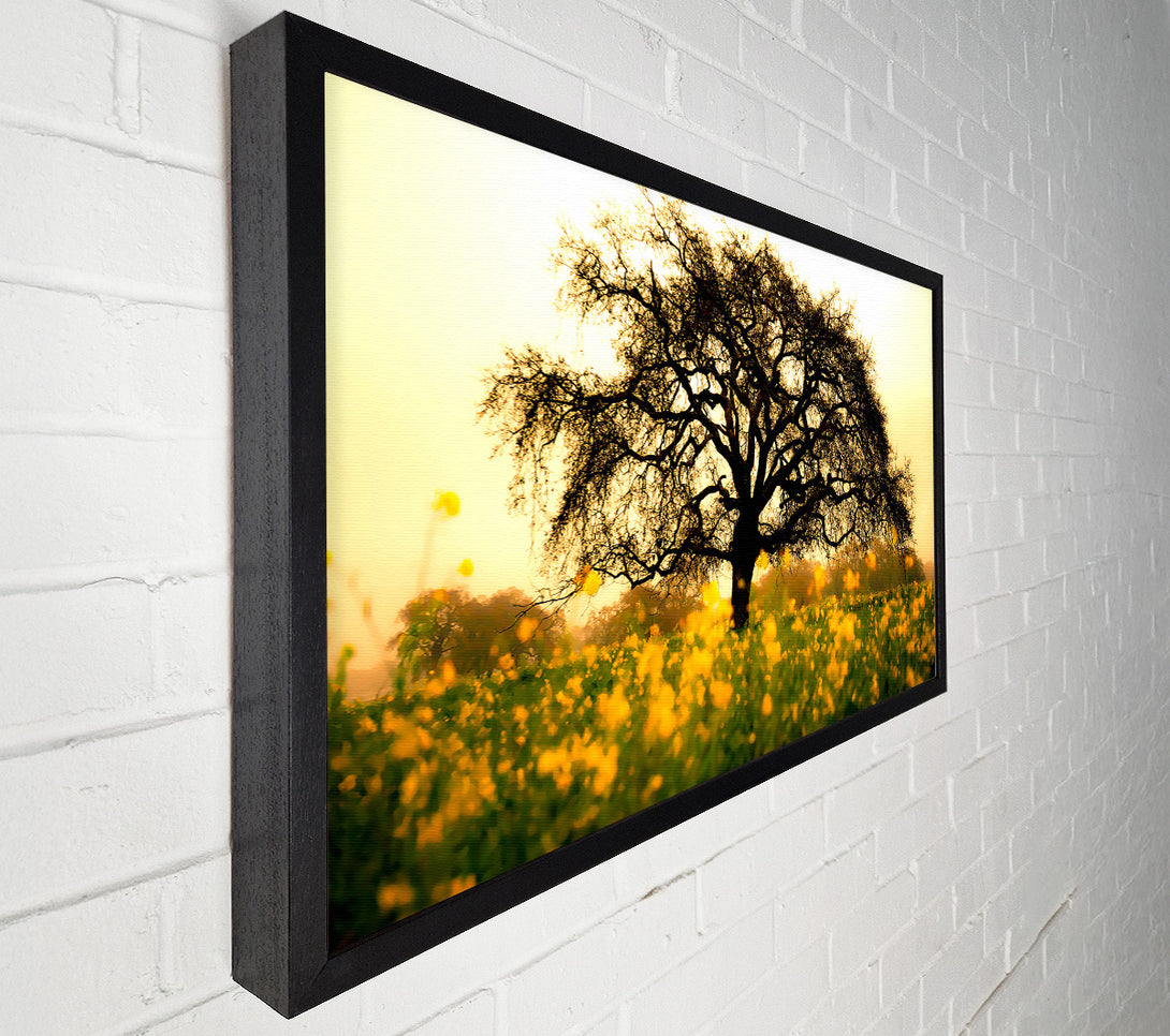  A Canvas Print of Spring Field Canvas Print