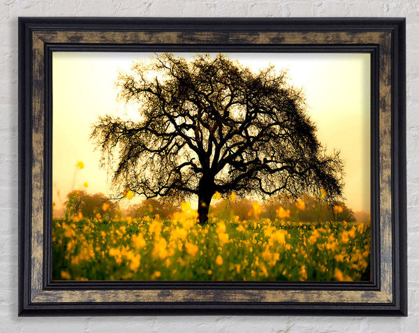 Spring Field Framed Print