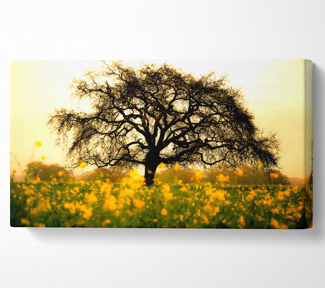  A Canvas Print of Spring Field Canvas Print