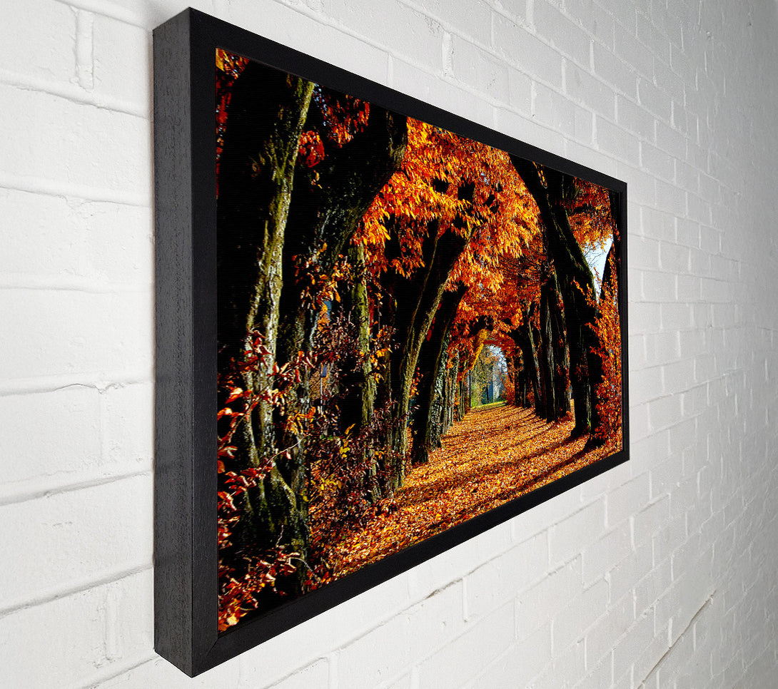  A Canvas Print of Beautiful Path Canvas Print