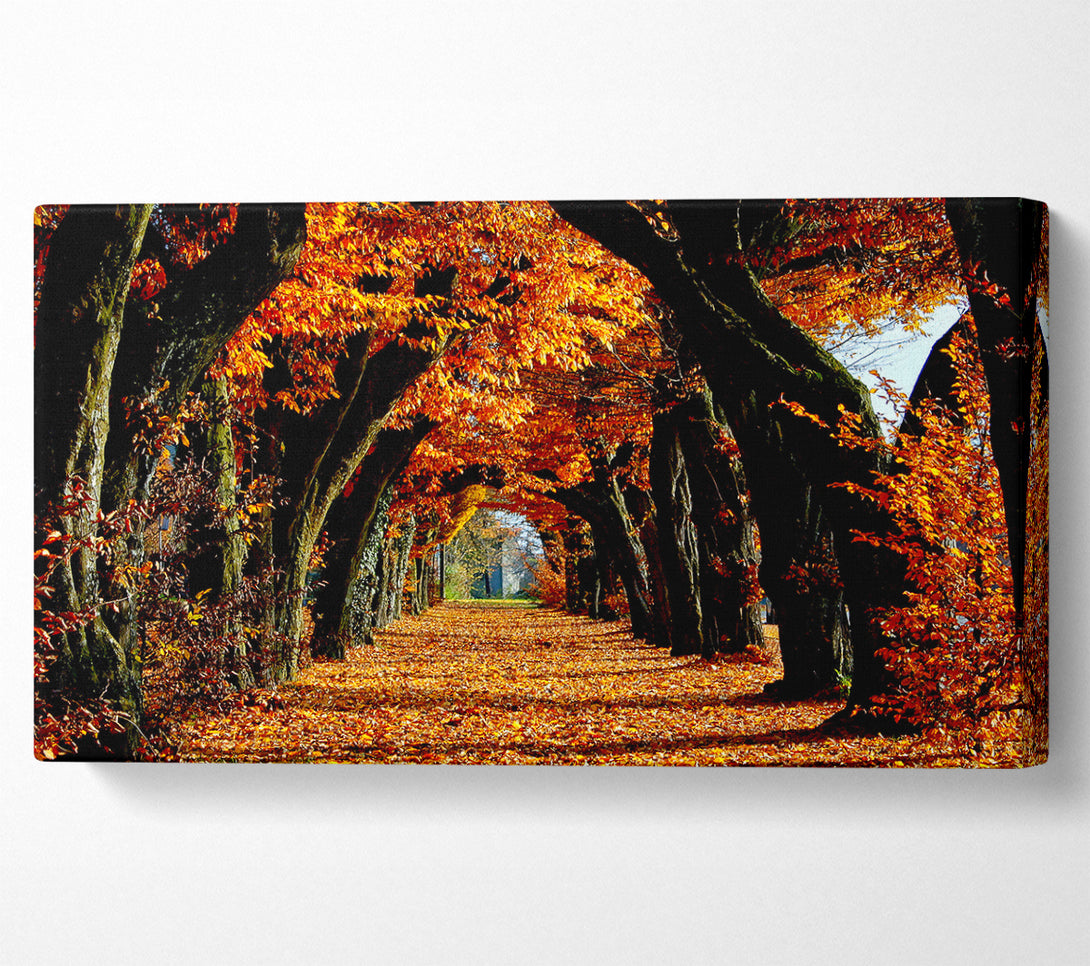  A Canvas Print of Beautiful Path Canvas Print