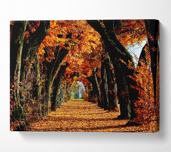  A Canvas Print of Beautiful Path Canvas Print