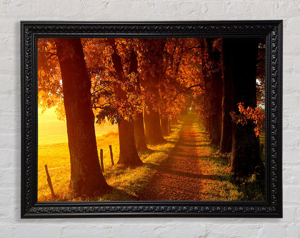 Herbstspaziergang
