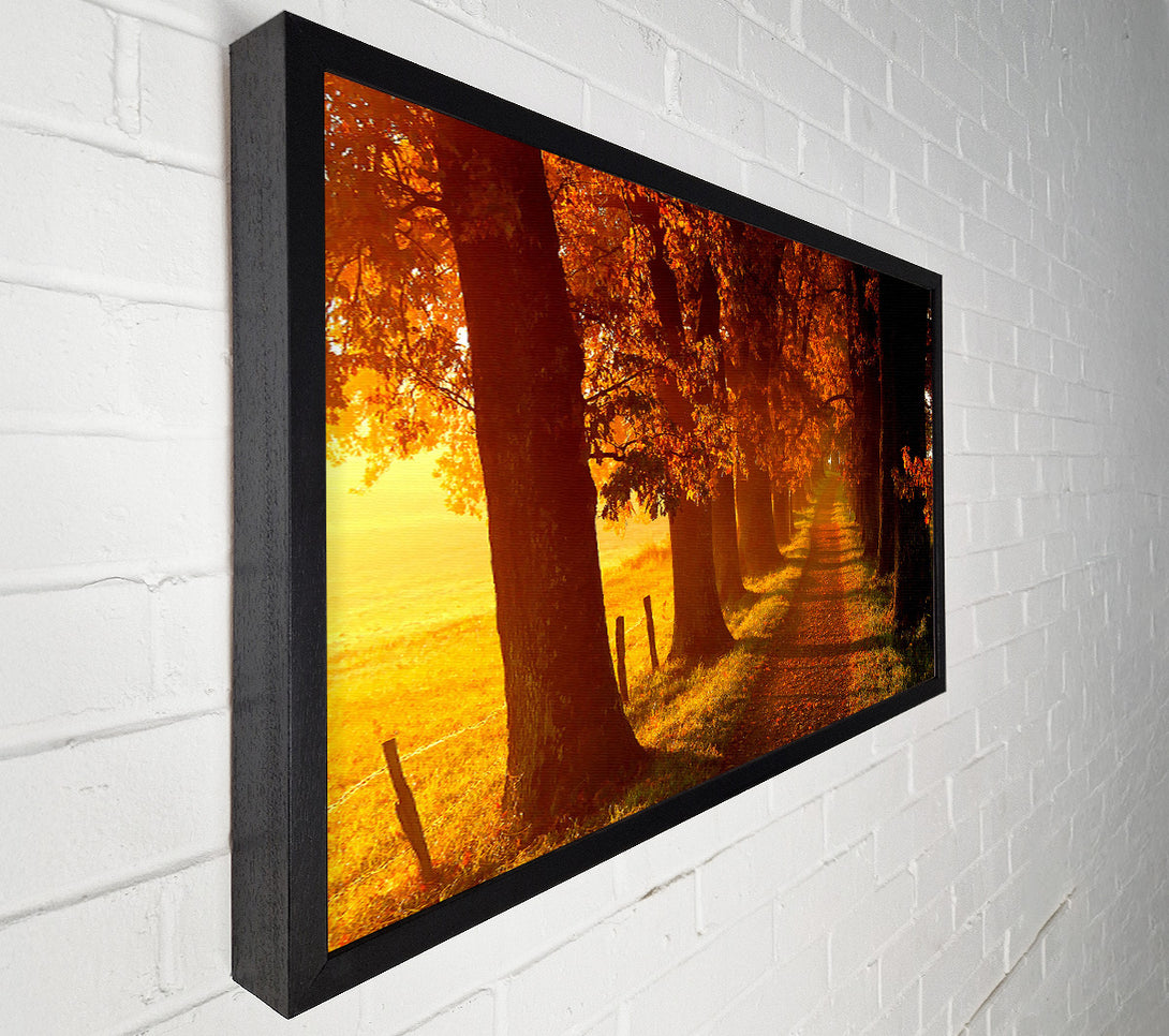  A Canvas Print of Autumn Walk Canvas Print