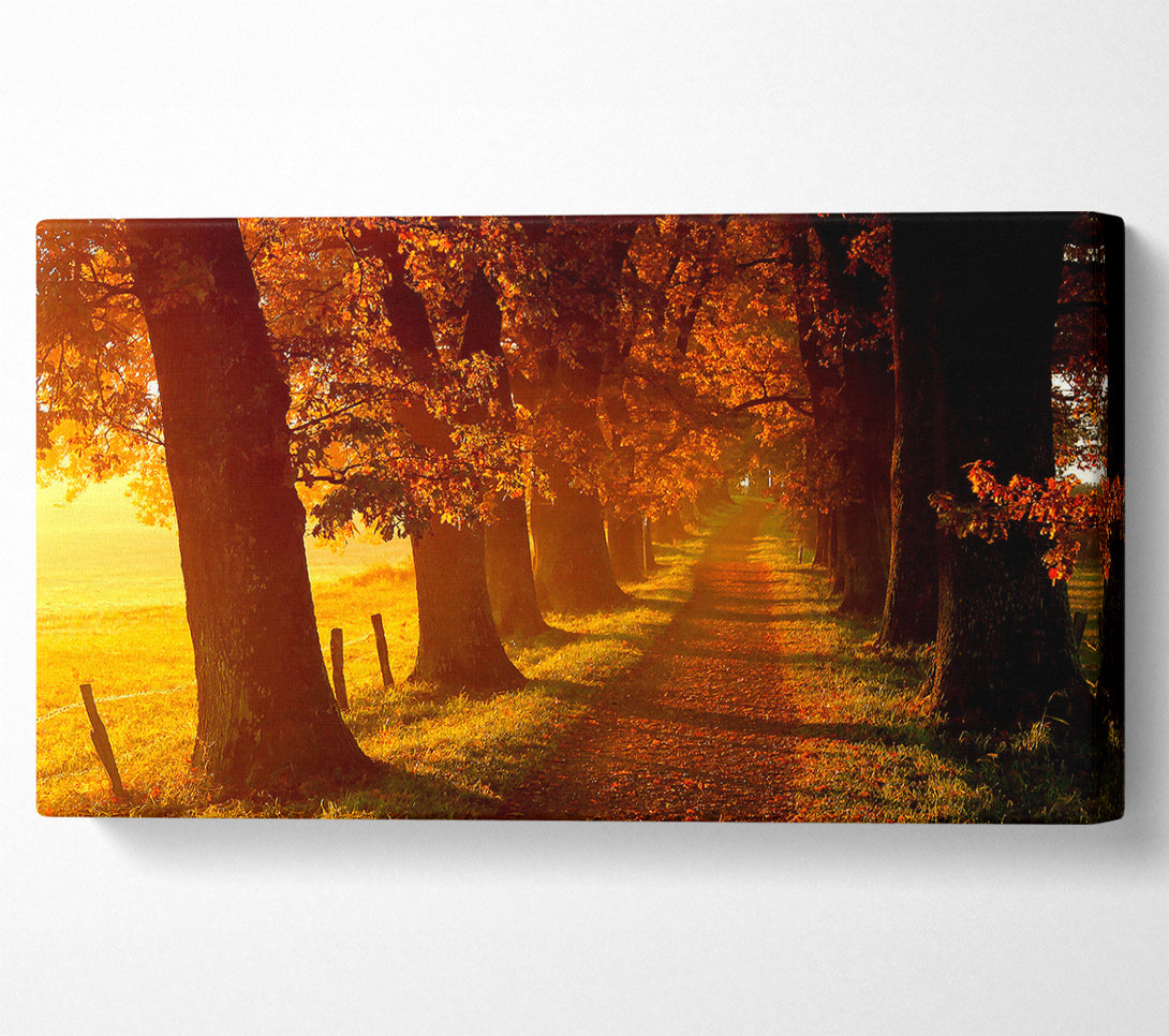  A Canvas Print of Autumn Walk Canvas Print