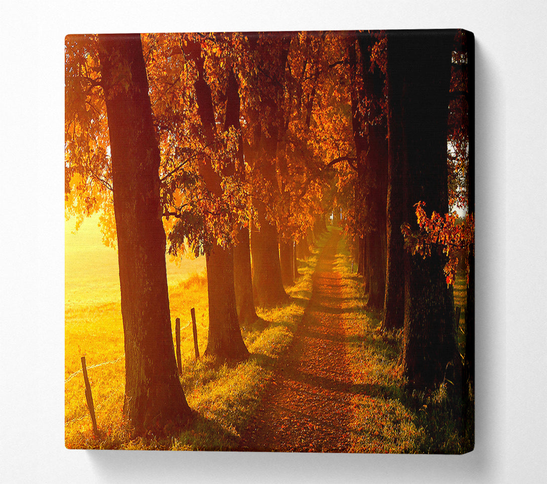  A Canvas Print of Autumn Walk Canvas Print