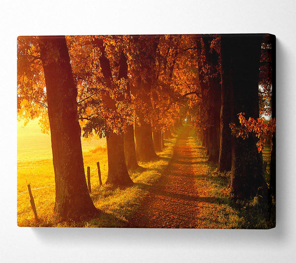  A Canvas Print of Autumn Walk Canvas Print