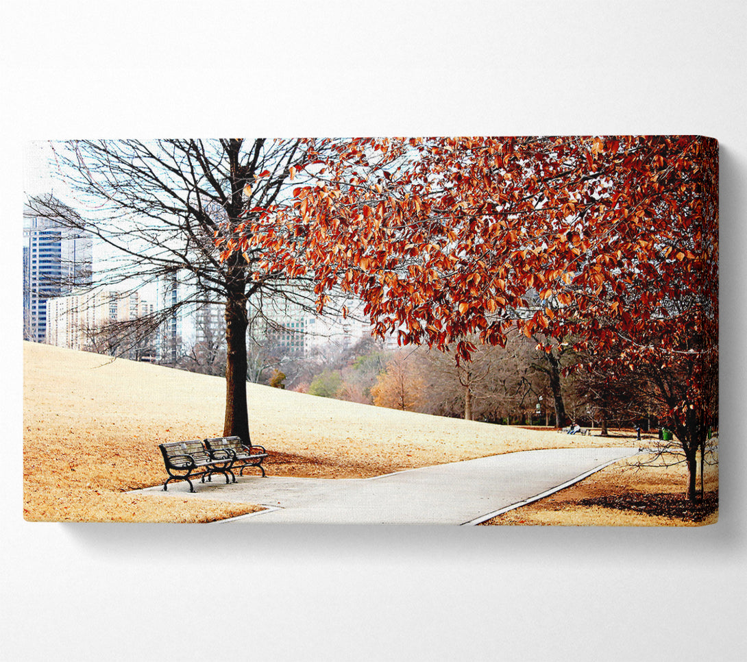  A Canvas Print of Autumn In The Park Canvas Wall Art