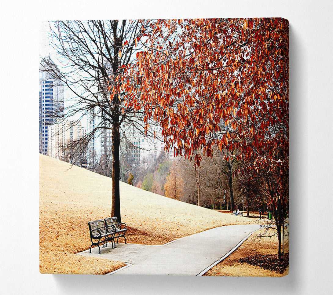  A Canvas Print of Autumn In The Park Canvas Wall Art