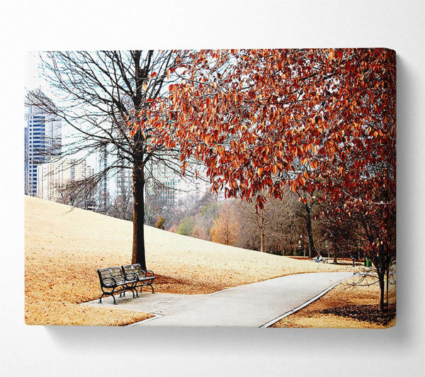  A Canvas Print of Autumn In The Park Canvas Wall Art