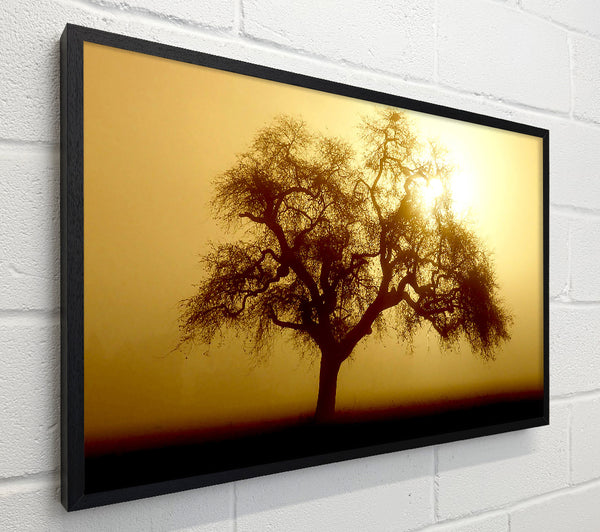 Early Morning Fog Tree
