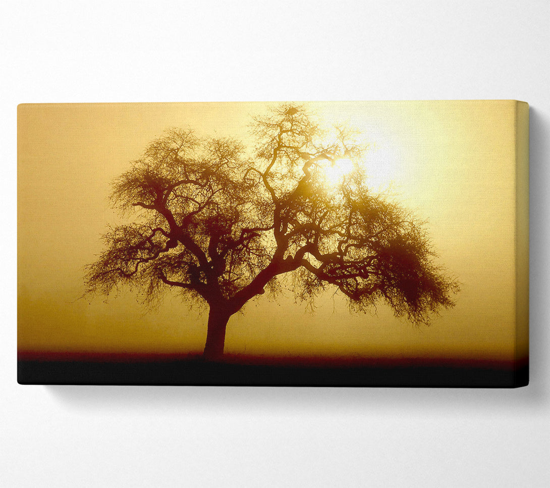  A Canvas Print of Early Morning Fog Tree Canvas Wall Art