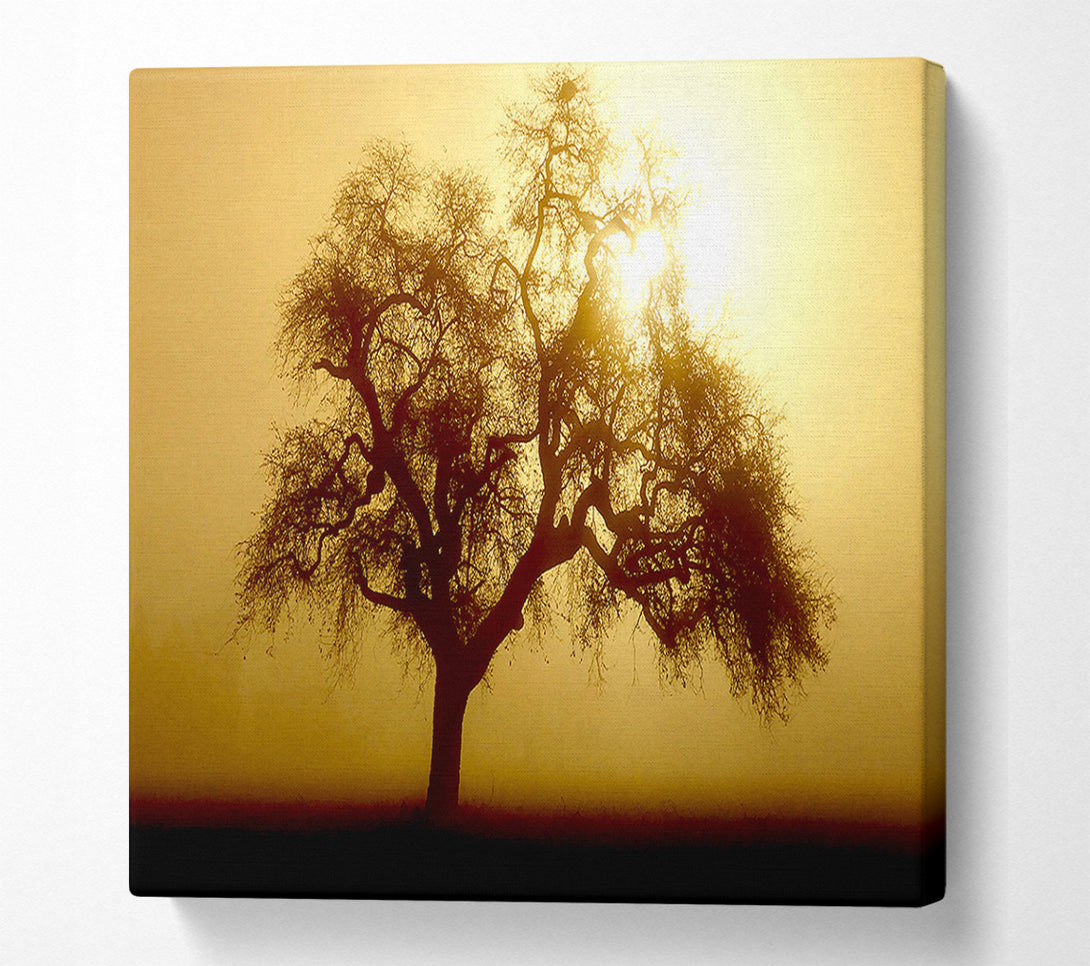  A Canvas Print of Early Morning Fog Tree Canvas Wall Art