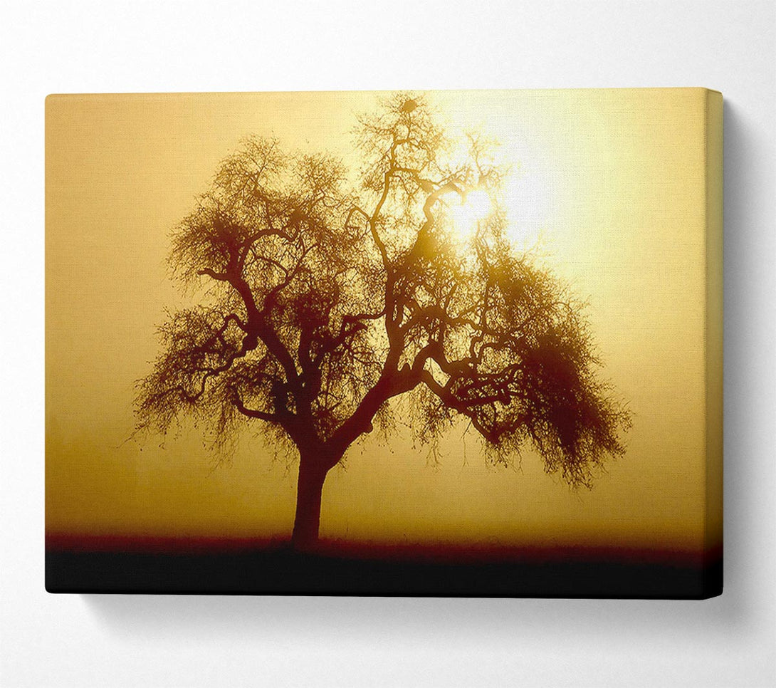  A Canvas Print of Early Morning Fog Tree Canvas Wall Art