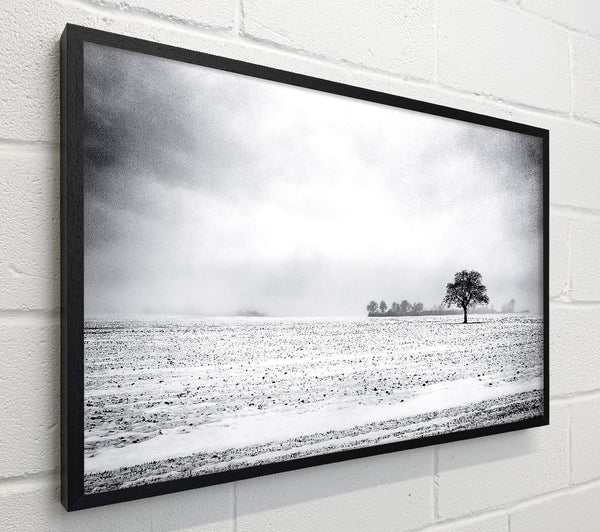 Empty Field Winter