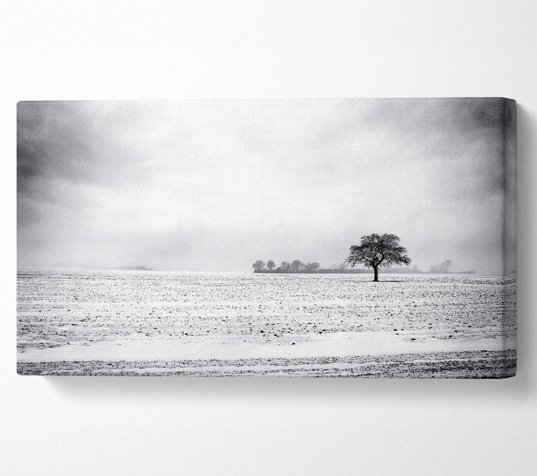  A Canvas Print of Empty Field Winter Canvas Art