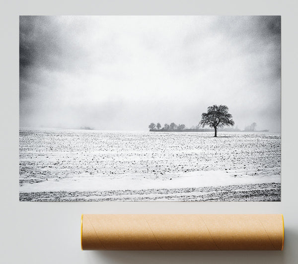 Empty Field Winter Print