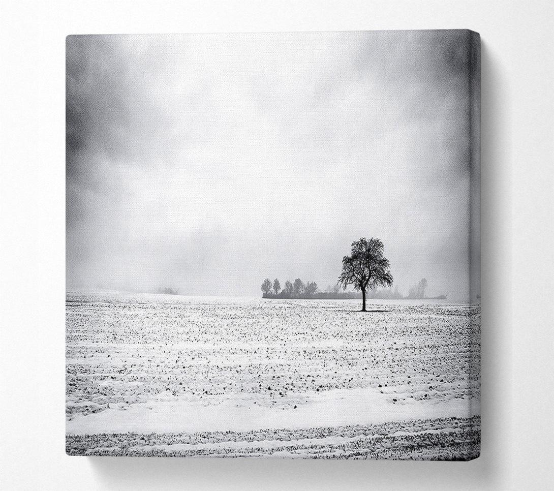  A Canvas Print of Empty Field Winter Canvas Art