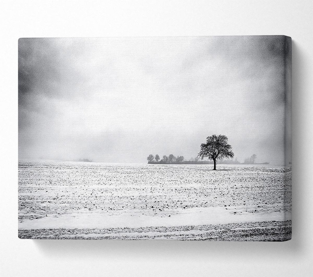  A Canvas Print of Empty Field Winter Canvas Art