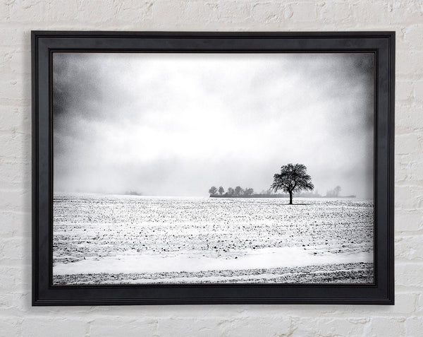 Leeres Feld Winter