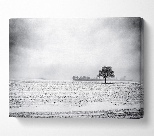  A Canvas Print of Empty Field Winter Canvas Art