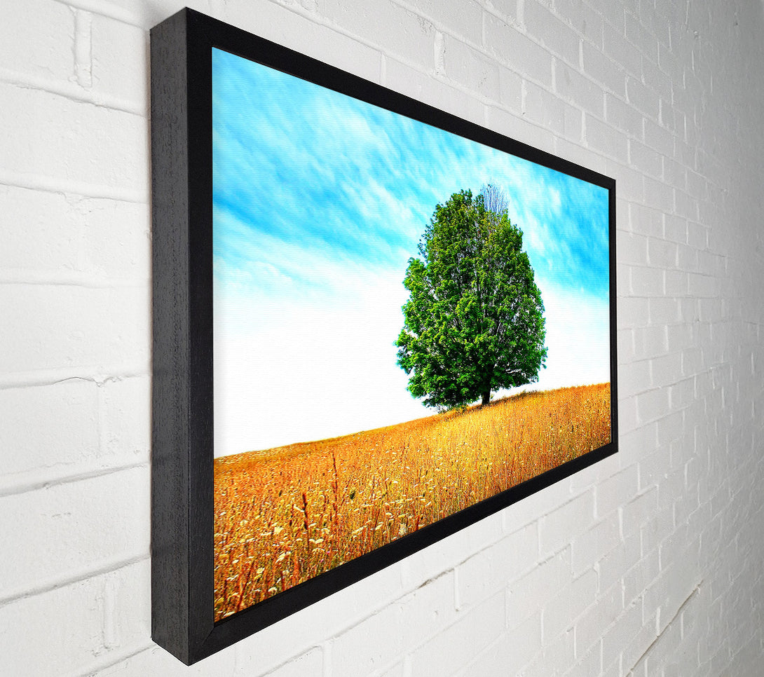  A Canvas Print of Late Summer Canvas Art