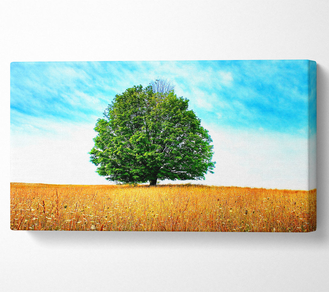  A Canvas Print of Late Summer Canvas Art