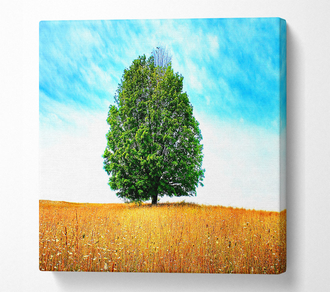  A Canvas Print of Late Summer Canvas Art