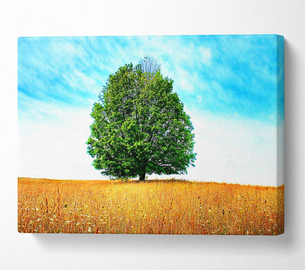  A Canvas Print of Late Summer Canvas Art