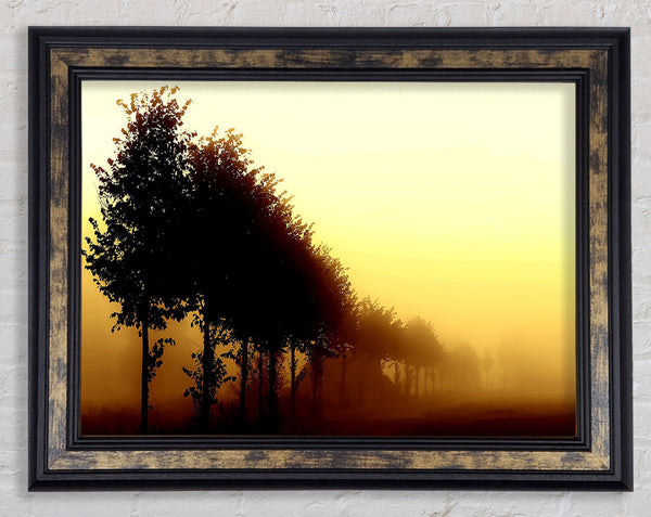 Beautiful Foggy Day Framed Print