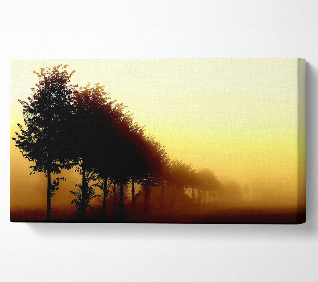  A Canvas Print of Beautiful Foggy Day Canvas Print