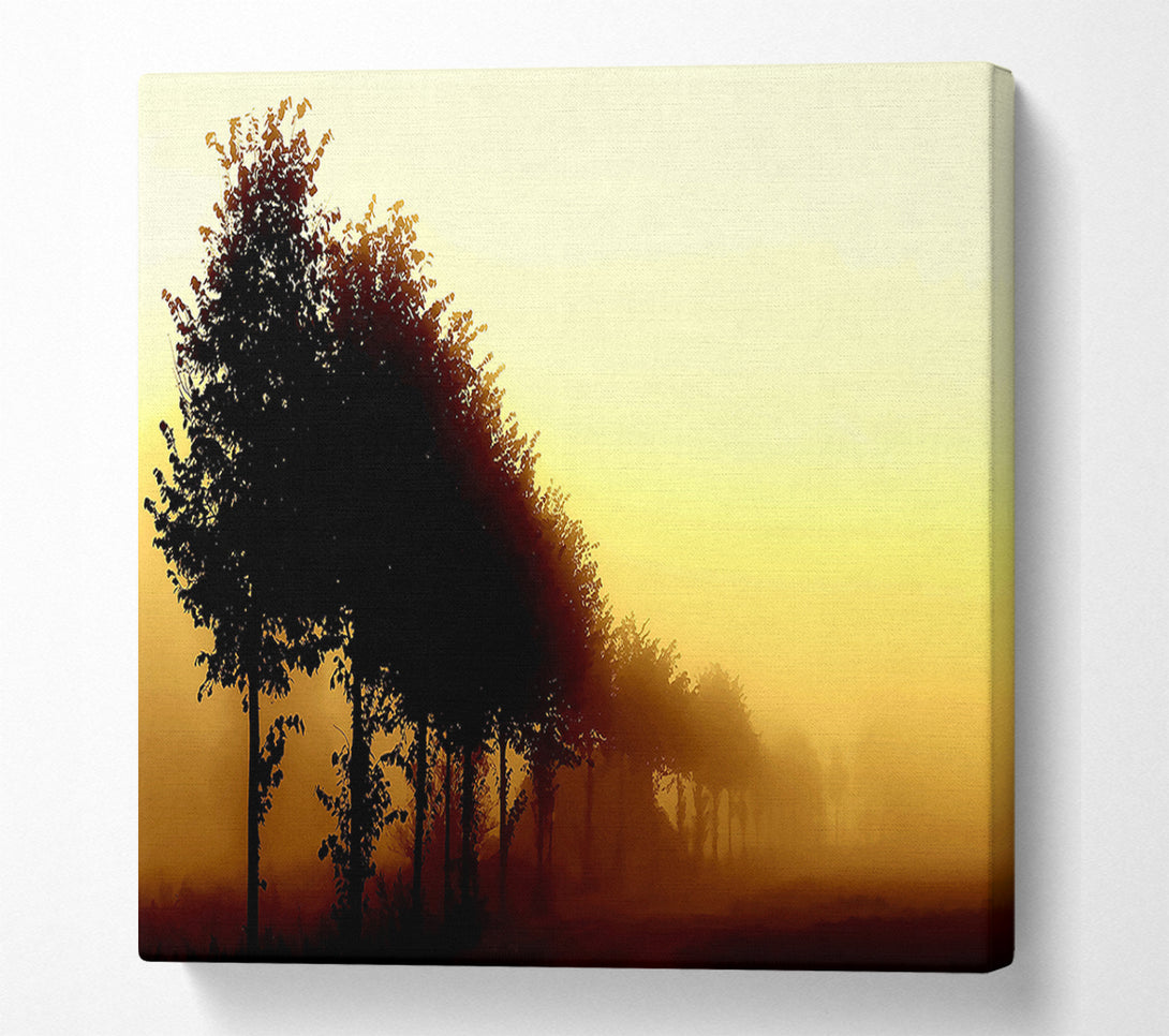  A Canvas Print of Beautiful Foggy Day Canvas Print