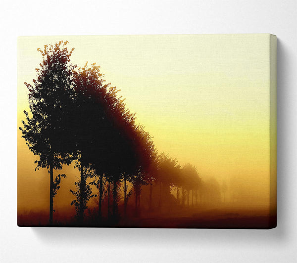  A Canvas Print of Beautiful Foggy Day Canvas Print