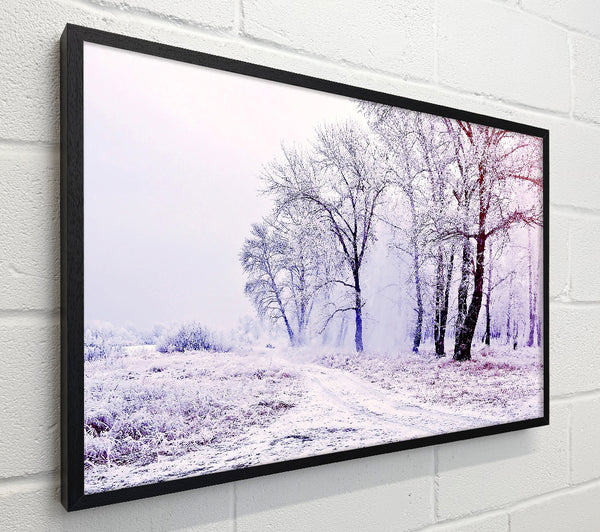 Beautiful Snowy Forest