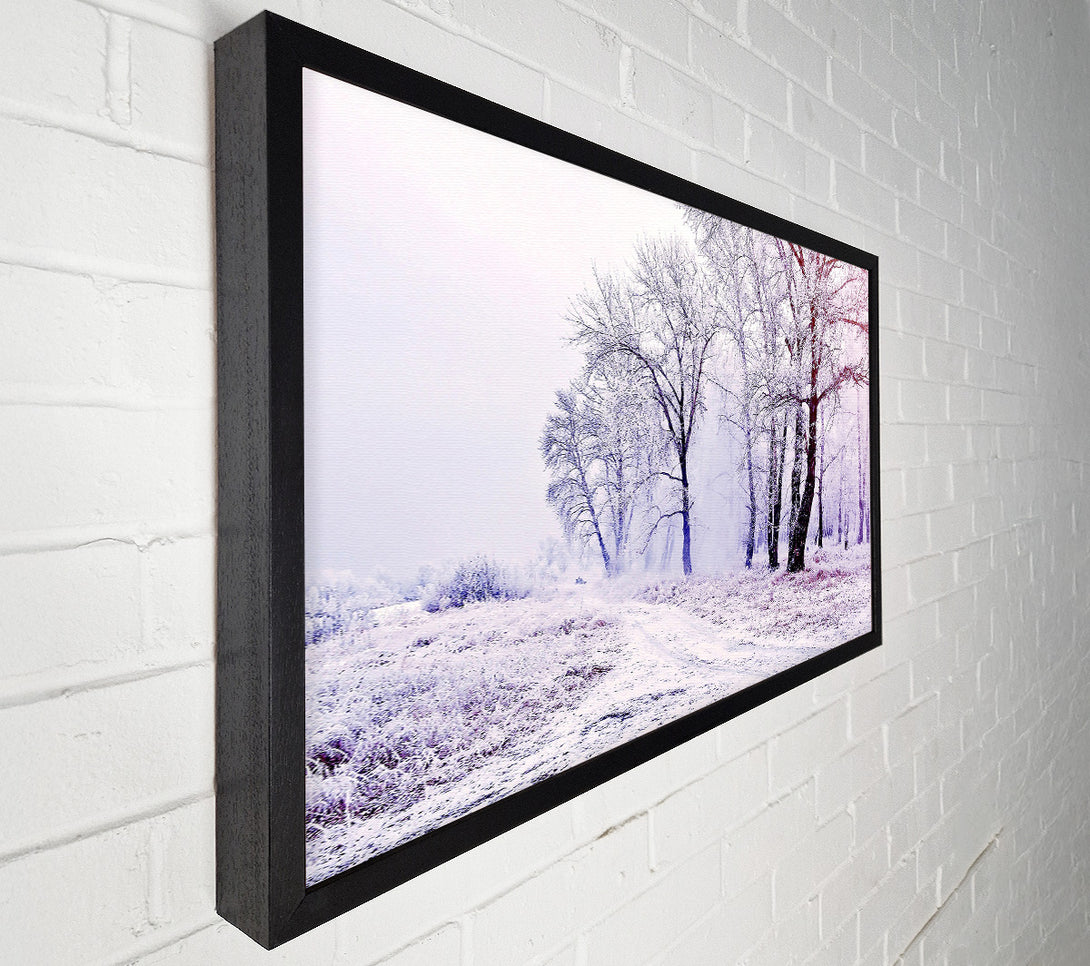  A Canvas Print of Beautiful Snowy Forest Canvas Print
