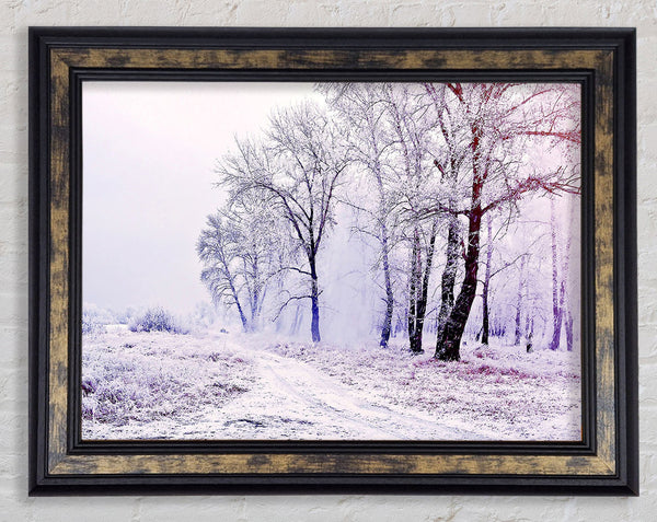 Beautiful Snowy Forest Framed Print