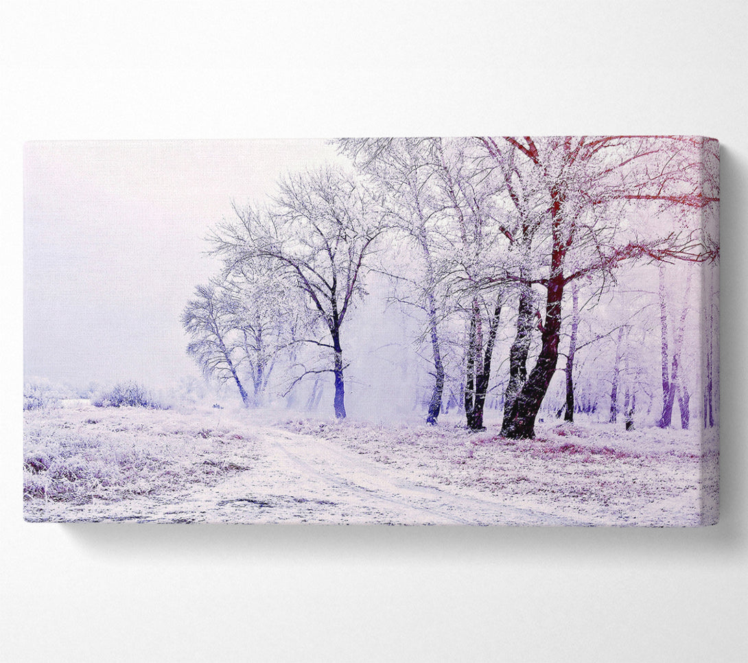  A Canvas Print of Beautiful Snowy Forest Canvas Print