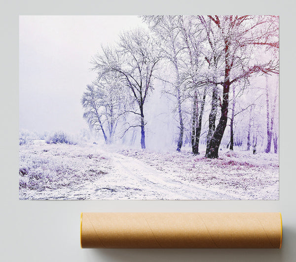 Beautiful Snowy Forest Giclee Print