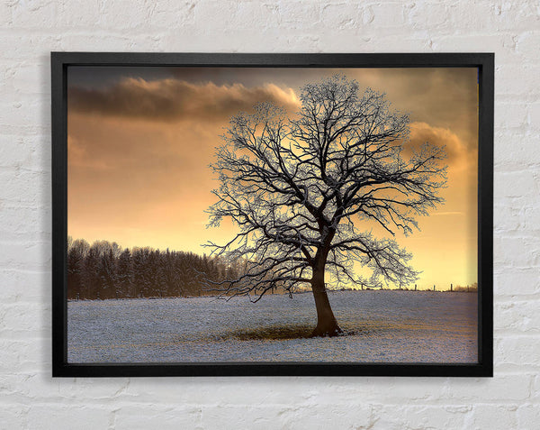 Einsamer Baum im Winter