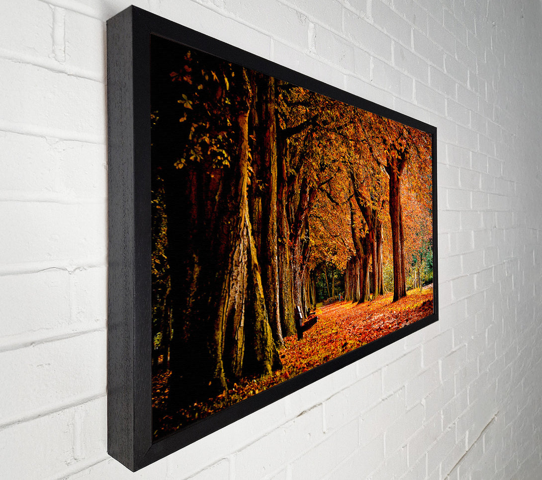  A Canvas Print of Park Autumn Canvas Art