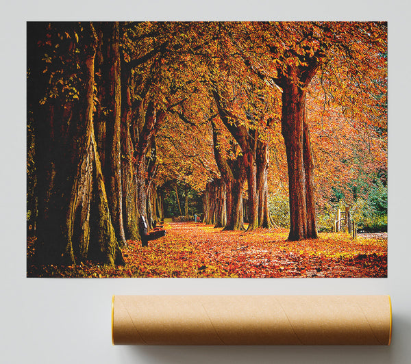 Park Autumn Poster