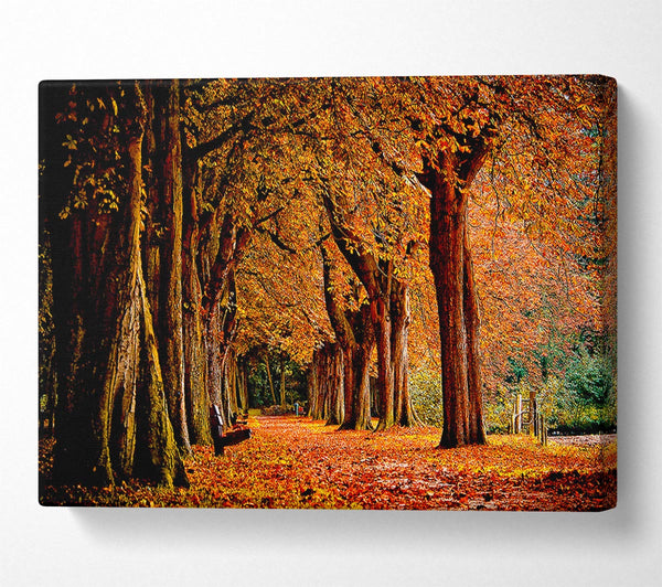  A Canvas Print of Park Autumn Canvas Art